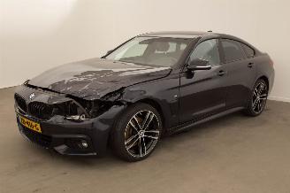 disassembly campers BMW 4-serie 430i Gran Coupe AUTOMAAT High Execution Edition 2019/5