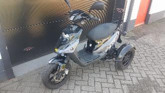 skadebil motor PGO  PGO driewielscooter 2012/1